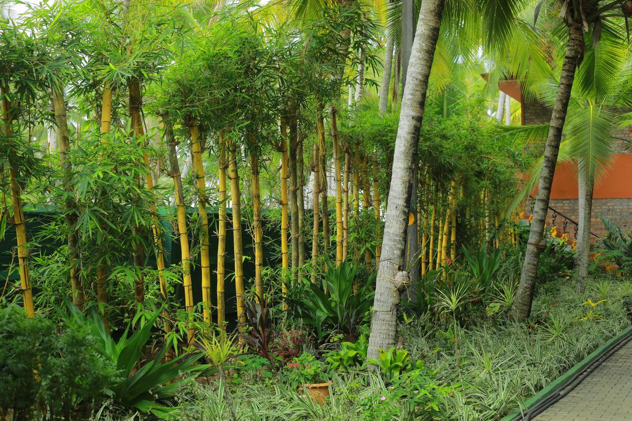 Wild Palms On Sea Hotel Kazhakuttam Ngoại thất bức ảnh